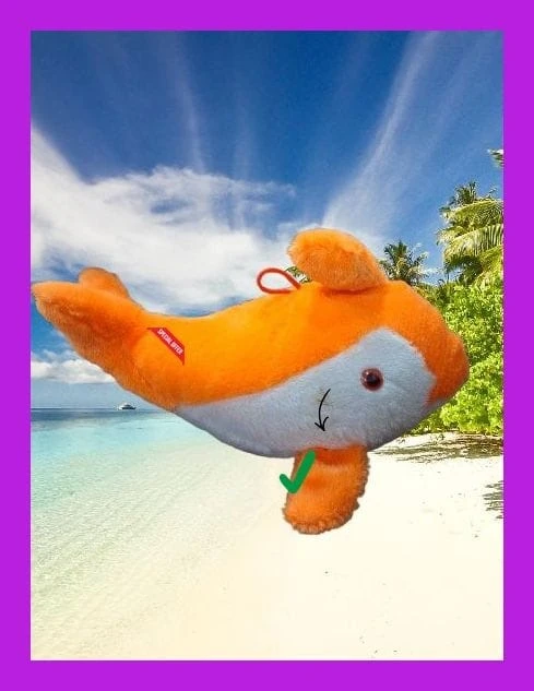 ORANGE FISH KIDS TOY